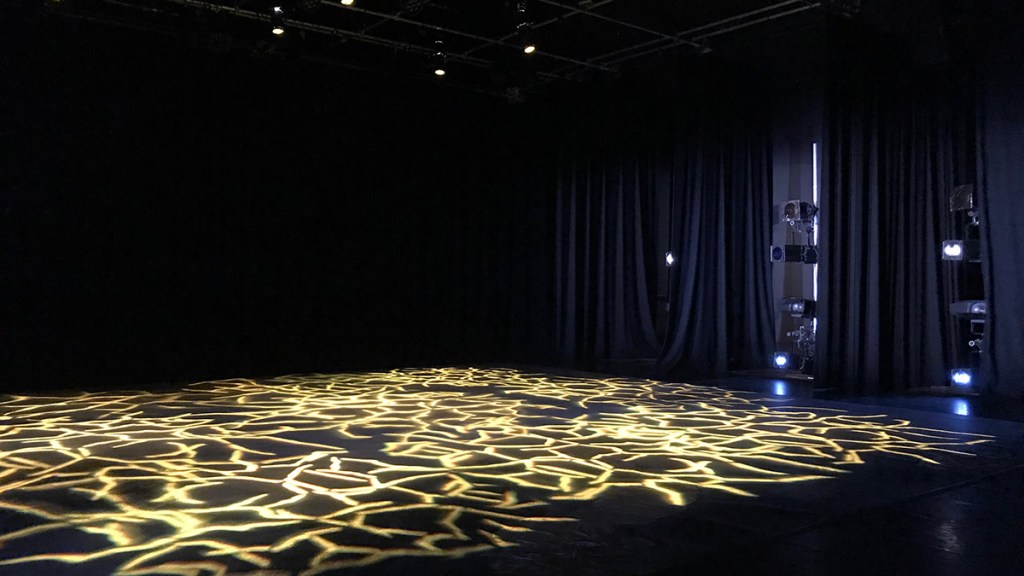 Worn to screen at&nbsp;DanceLive